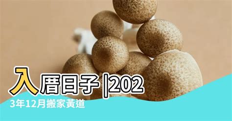 2023農民曆查詢|選日子（黃道吉日查詢）